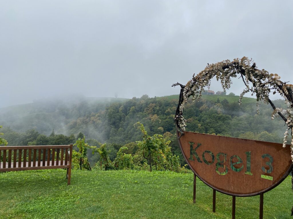 Finanzausblick bei Kogel3