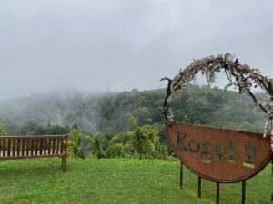 Finanzausblick bei Kogel3